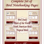 complete_bird_set_cover250