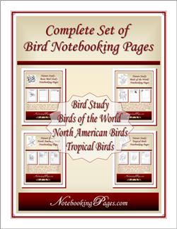 [BUNDLED] Nature Study: Birds Complete Set