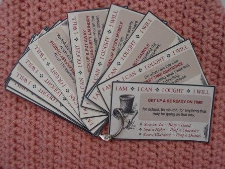 Habit Cards on an O-ring