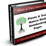 Plants & Trees Nature Study Notebooking Pages