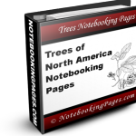 Trees of North America Notebooking Pages