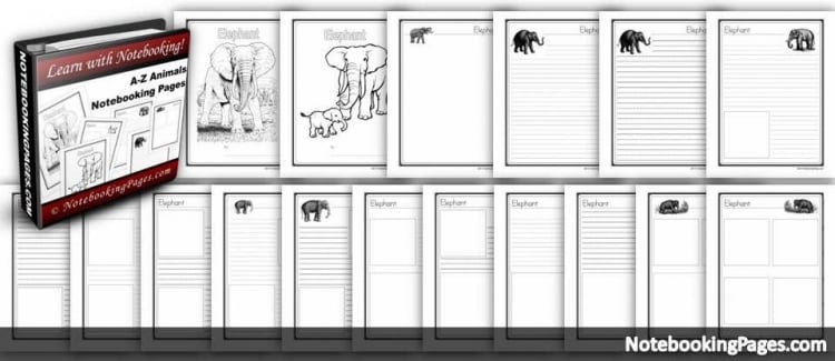 A to Z Animals Notebooking Pages