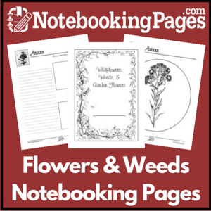 Wildflowers, Weeds, & Garden Flowers Notebooking Pages