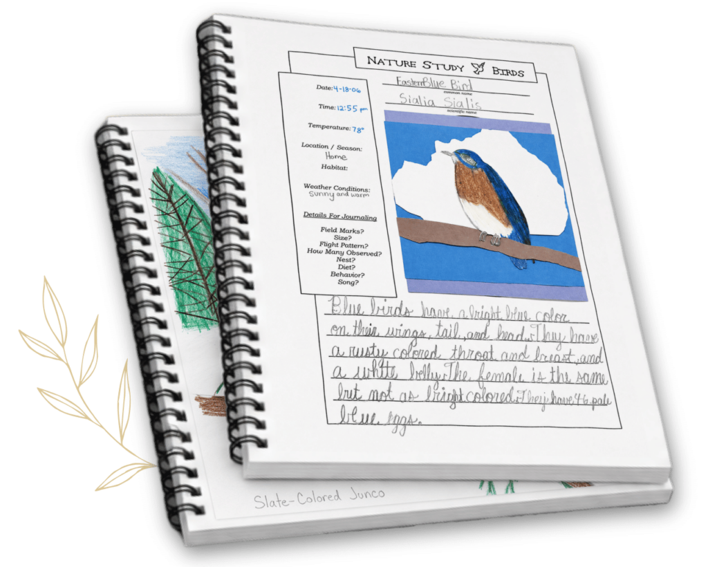 Nature Notebooks