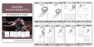 Marine Invertebrates Notebooking Pages - NotebookingPages.com