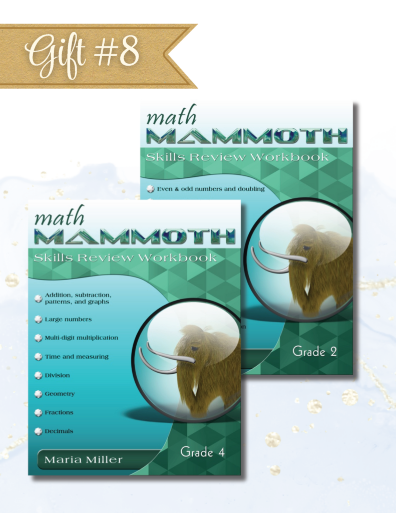 Math Mammoth Skills Review Workbooks 2 & 4