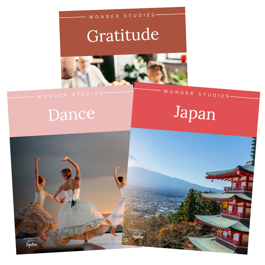 Wonder Studies Bundle