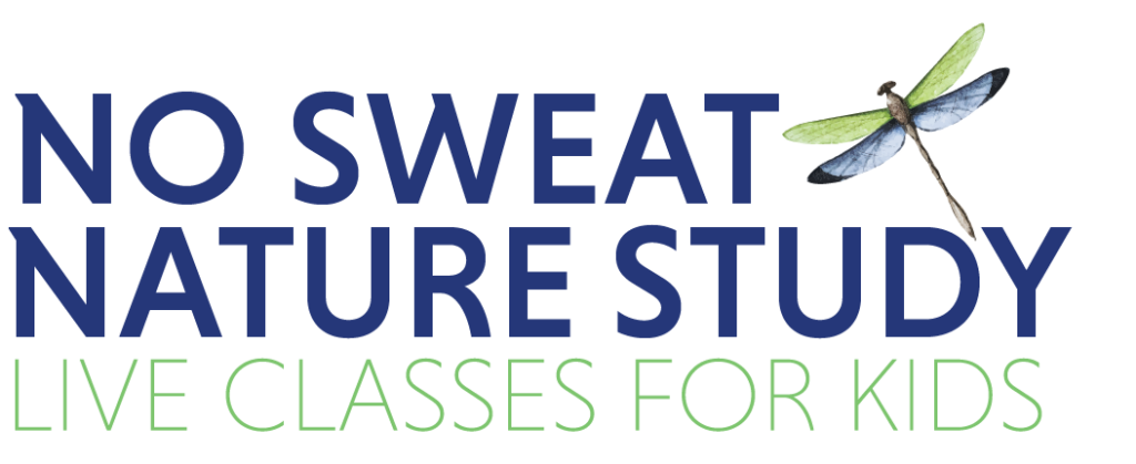 No Sweat Nature Study
