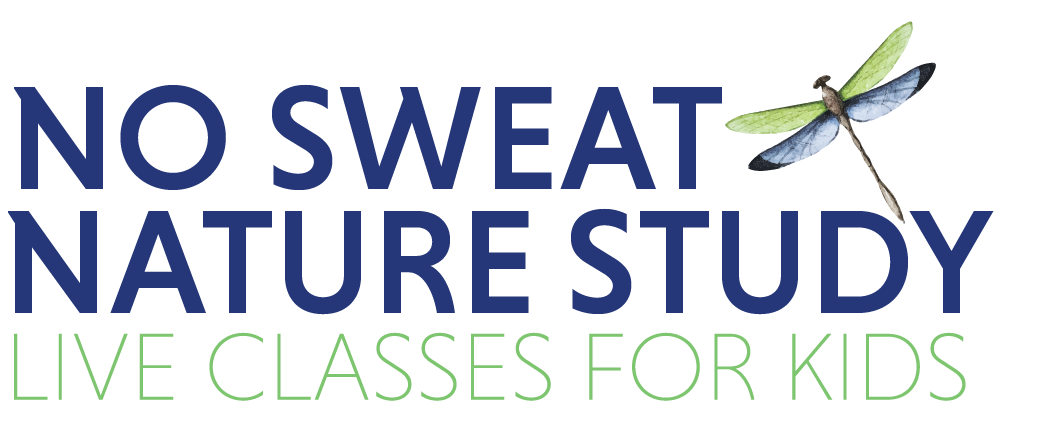 No Sweat Nature Study