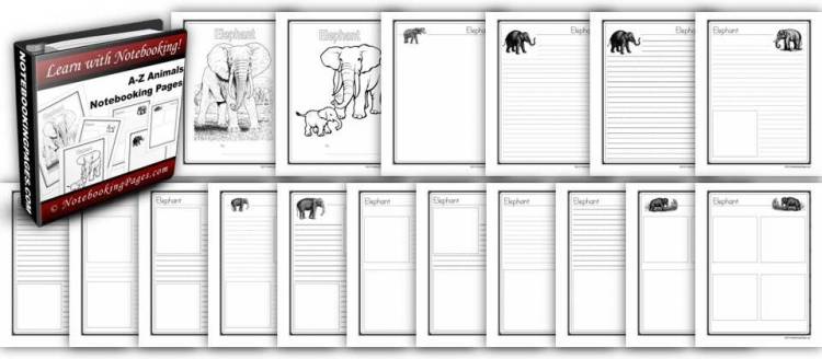A to Z: Animals Notebooking Pages