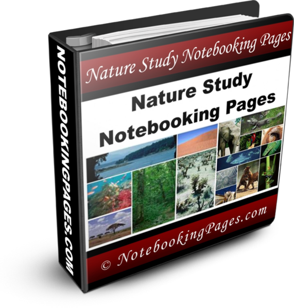 Nature Study Notebooking Pages | NotebookingPages.com