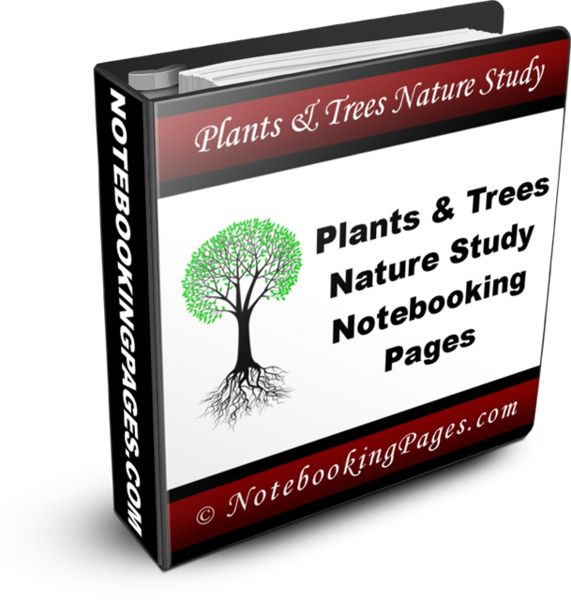 Nature Study Notebooking Pages - Plants and Trees Basic Study ...